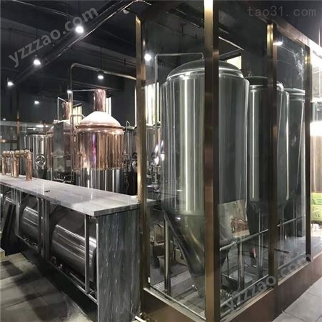 上海500升小型精酿鲜啤制作 精酿啤酒设备厂家