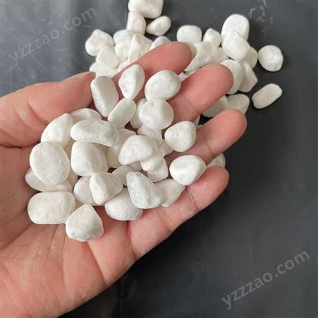 9-12毫米白色鹅卵石，园艺造景庭院装饰盆栽小石头