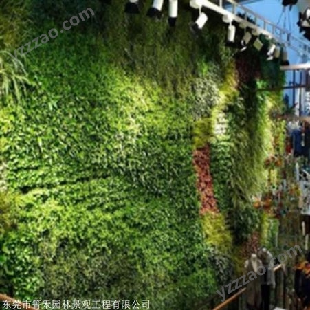 植物墙QH001箐禾园林 仿真草墙植物墙工程 厂家绿植墙 仿真植物墙_