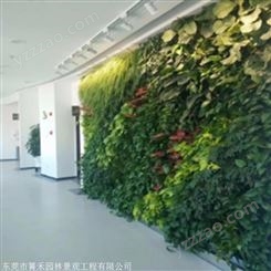 垂直绿化植物墙公司 供应仿真背景植物墙 价格 箐禾园林