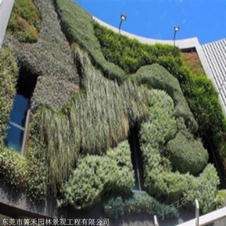 立体绿化植物墙 供应仿真背景植物墙 供应 箐禾园林