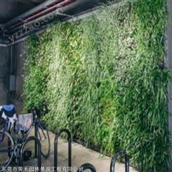 立体绿化植物墙 植物墙工艺 箐禾园林