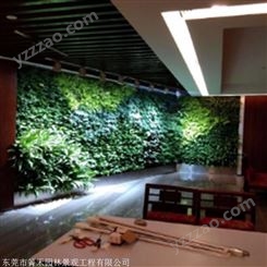 箐禾园林 植物墙  植物墙定制 仿真植物墙制作安装