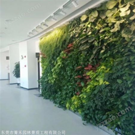 立体绿化植物墙 供应仿真背景植物墙 供应 箐禾园林