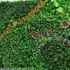 招牌形象绿化墙 仿真植物墙公司绿化厂家 箐禾园林