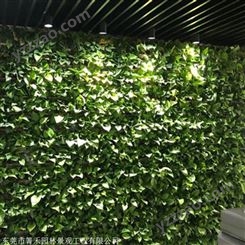 箐禾园林 植物墙做法 植物墙定制 植物墙厂家立体