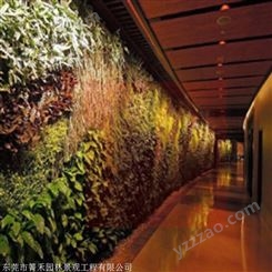 箐禾园林 立体绿化植物墙 植物墙定制 植物墙出售立体植物墙制作