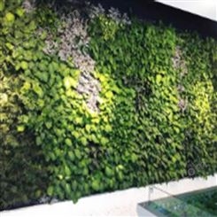 仿真草墙植物墙工程 室外绿墙 价格 箐禾园林