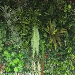 箐禾园林 真植物墙 新型垂直绿化植物墙 LOGO设计植物墙