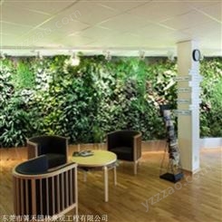 立体绿化植物墙 绿植装饰墙  箐禾园林
