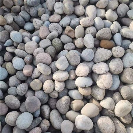 天然鹅卵石厂家 水处理鹅卵石滤料 人工挑选造景五彩石 卵石