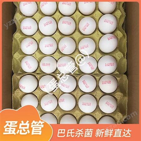 40-60枚新鲜鸡蛋黄 红壳白壳鸡蛋 整箱出售 蛋总管 长期供应