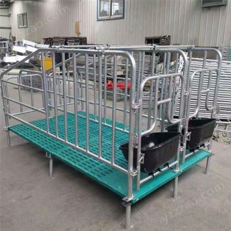 腾飞机械 产床保育床定位栏 母猪分娩栏 猪用定位栏
