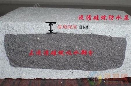 上海硅烷浸渍剂 混凝土耐久防水剂 渗透性硅烷防腐材料 荷叶效果硅烷