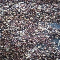 供应牲畜养殖高粱 壳高粱糠 香包座垫填充颗粒饱满高粱壳