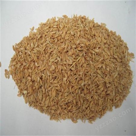 酒厂醋厂发酵用稻壳 养殖用稻 壳 新鲜优质袋装稻  源头