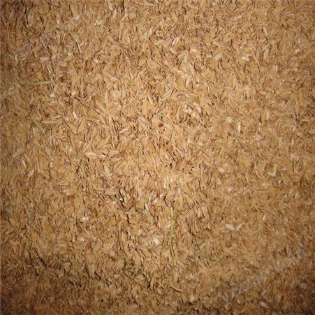 酒厂醋厂发酵用稻壳 养殖用稻 壳 新鲜优质袋装稻  源头