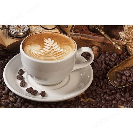 原味咖啡 奶茶店供应 oem贴牌定制 风味固体饮品代加工