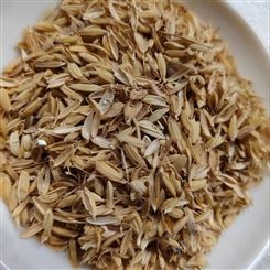 兰花植料用稻壳 有机肥添加稻壳