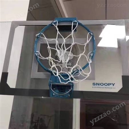 足不出户就可以陪孩子锻炼身体 儿童壁挂式篮球板篮球架篮球框 全套供应 直销批发零售 送篮球打气筒